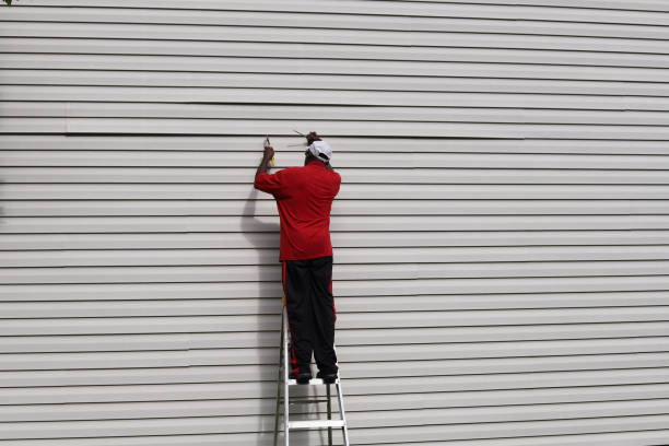Best Composite Siding  in Shenandoah Farms, VA